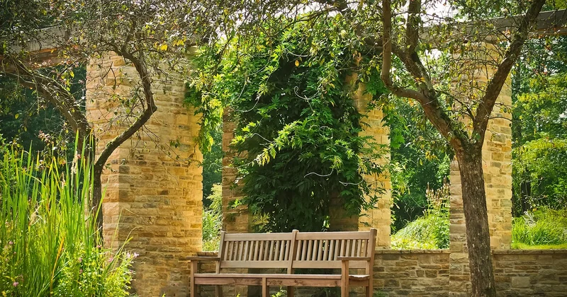 Pergola Brico Dépôt bois : le vrai coût sur cinq ans
