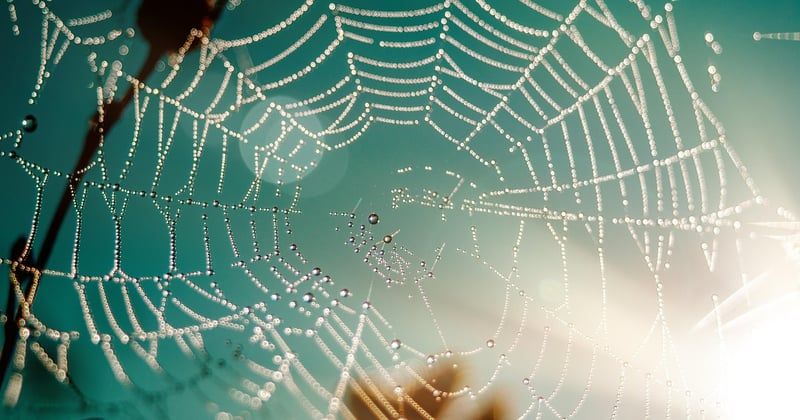 Toile personnalisée famille : le cadeau déco qui rassemble vos souvenirs