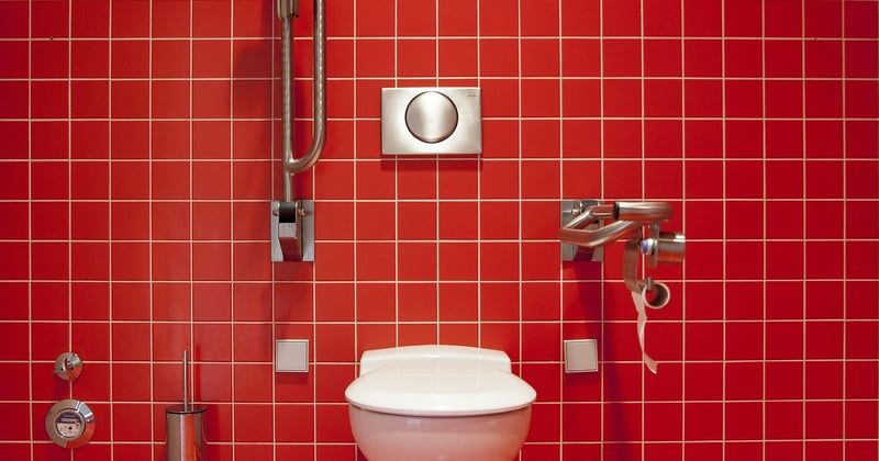 Vers noir toilette : le choix audacieux qui transforme vos WC