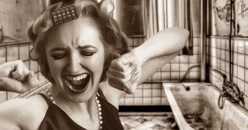 Pourquoi ces vers noirs d'humidité s'installent chez vous