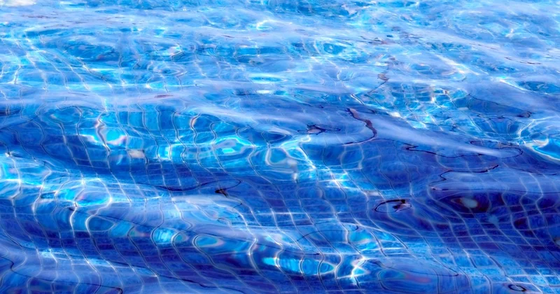 Cacher sa piscine des voisins : palissades, murets et autres barrières