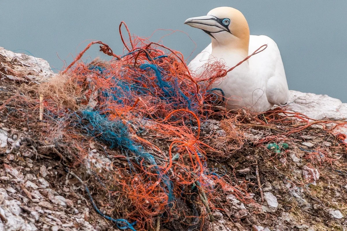 Comment choisir l'équerre plastique parfaite pour vos projets en 2026