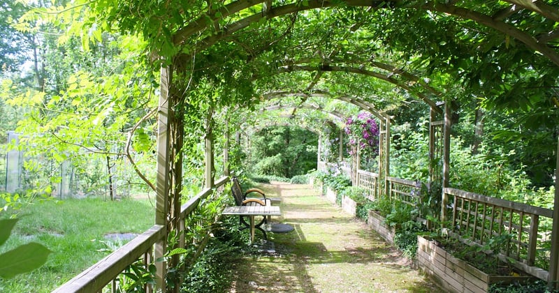 Pergola Brico Dépôt : le bon plan pour aménager votre extérieur