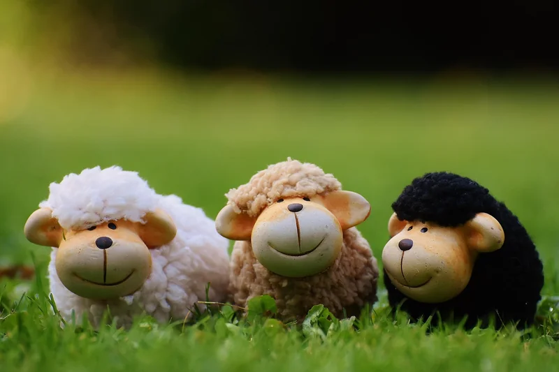 Matériaux et revêtements : céramique ou inox, le match