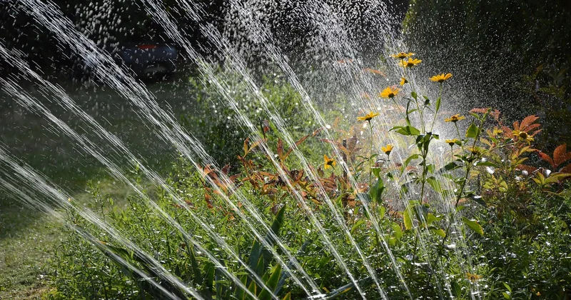 Les ollas et le goutte-à-goutte : comparatif mesuré