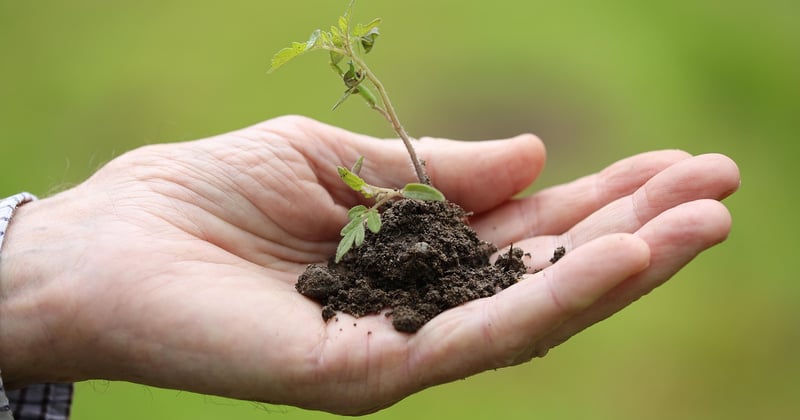 10 techniques innovantes pour jardin qui vont tout changer